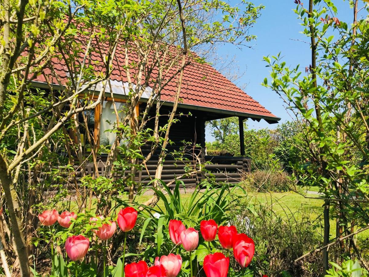 Eifel-Lounge Blockhaus Mit Kamin Garten Balkon Nahe Koeln Therme Bruehl Phantasialand Weilerswist Eksteriør bilde