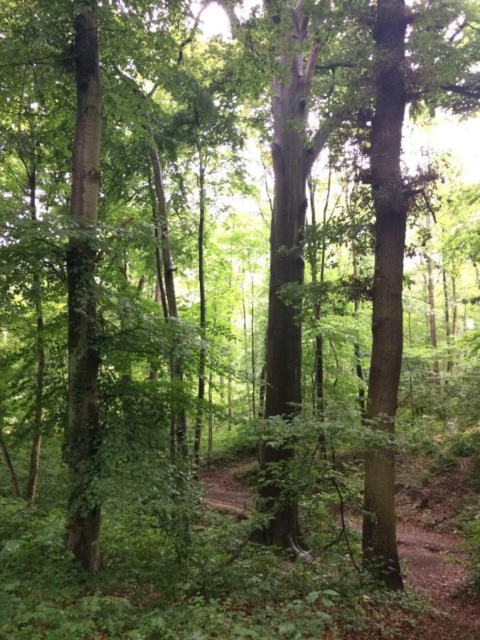 Eifel-Lounge Blockhaus Mit Kamin Garten Balkon Nahe Koeln Therme Bruehl Phantasialand Weilerswist Eksteriør bilde