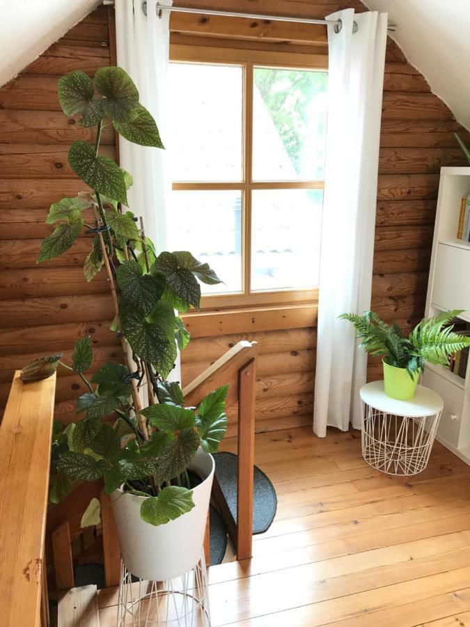 Eifel-Lounge Blockhaus Mit Kamin Garten Balkon Nahe Koeln Therme Bruehl Phantasialand Weilerswist Eksteriør bilde